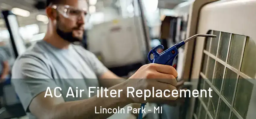  AC Air Filter Replacement Lincoln Park - MI