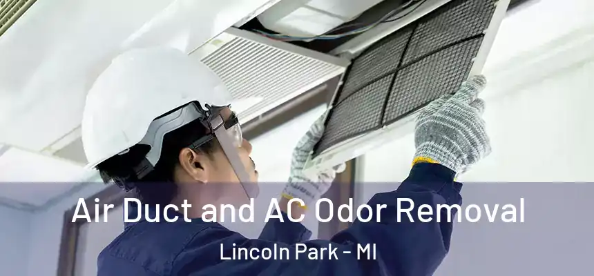 Air Duct and AC Odor Removal Lincoln Park - MI