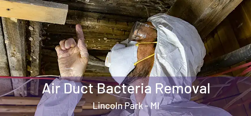  Air Duct Bacteria Removal Lincoln Park - MI