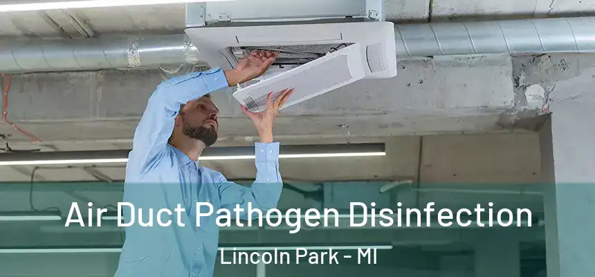  Air Duct Pathogen Disinfection Lincoln Park - MI