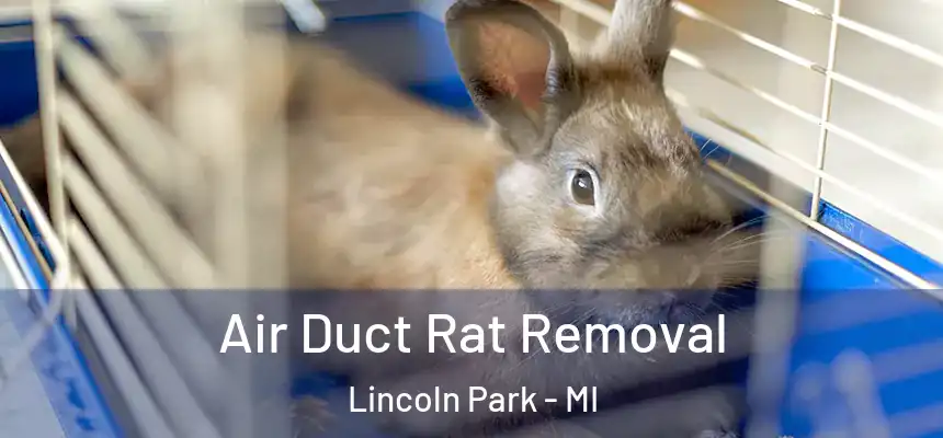 Air Duct Rat Removal Lincoln Park - MI