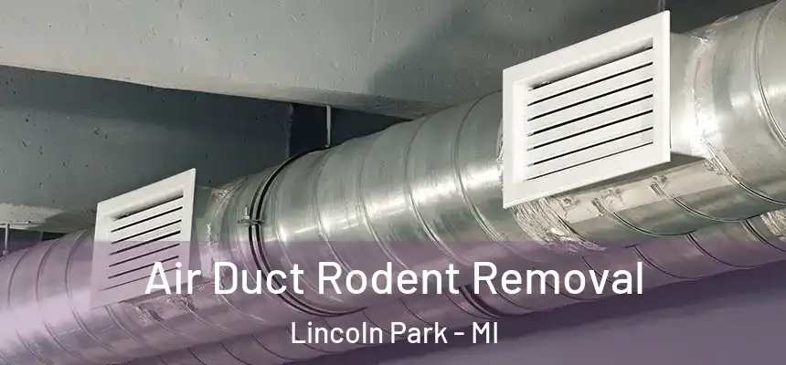 Air Duct Rodent Removal Lincoln Park - MI