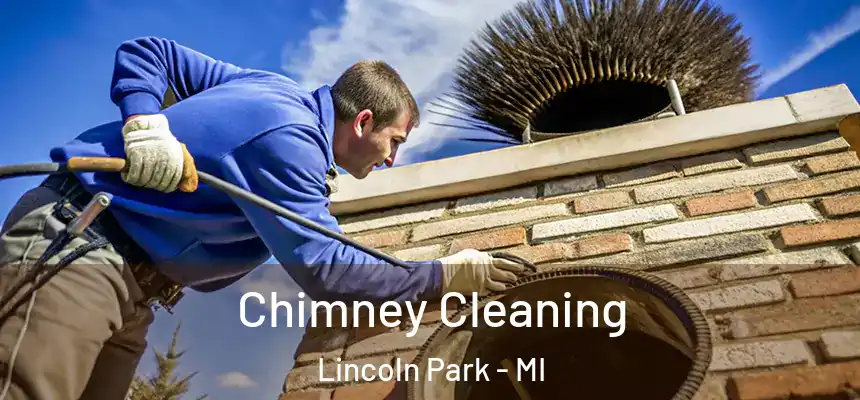  Chimney Cleaning Lincoln Park - MI