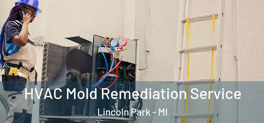  HVAC Mold Remediation Service Lincoln Park - MI