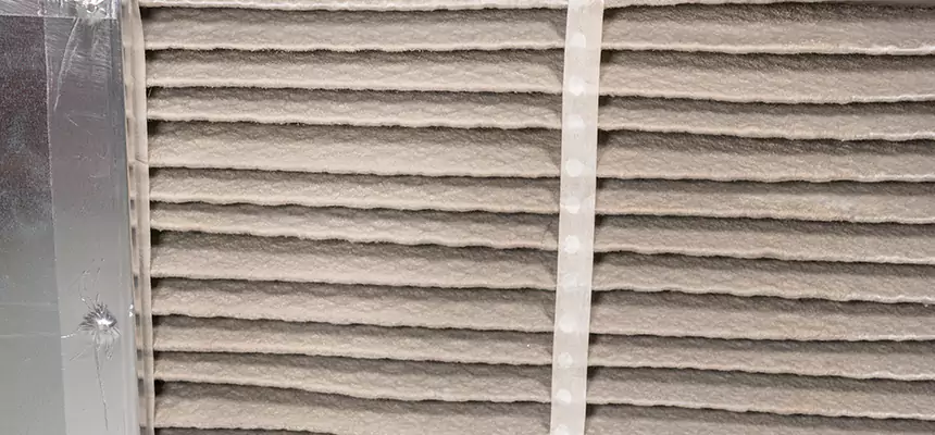 Mobile Car AC Filter Replacement in Lincoln Park