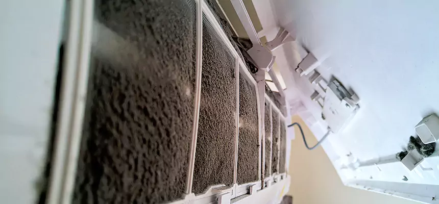 Preventive Air Duct Bacteria Removal in Lincoln Park