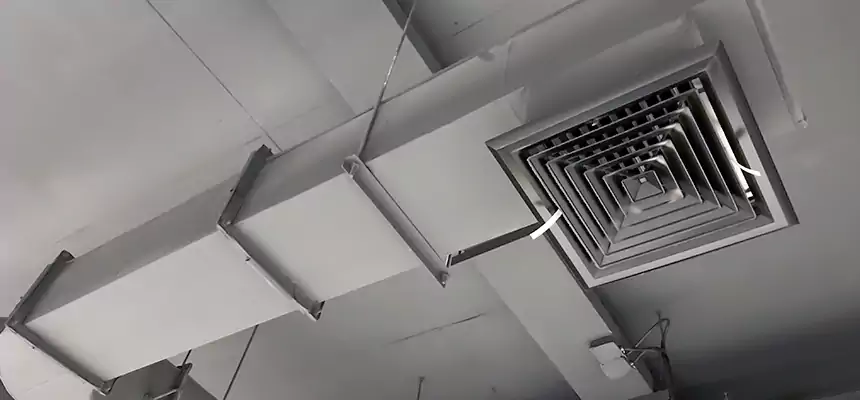 Our Pest Removal From Ducts Services in Lincoln Park, MI