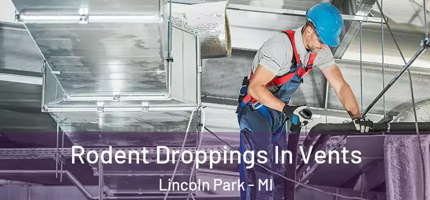  Rodent Droppings In Vents Lincoln Park - MI