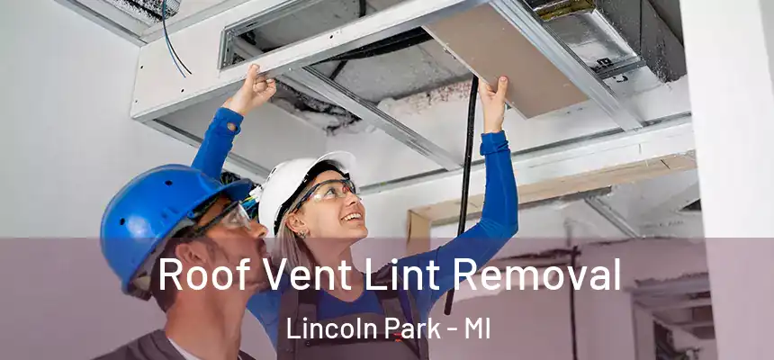  Roof Vent Lint Removal Lincoln Park - MI