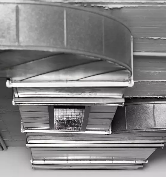 Professional Air Duct Pet Hair Removal in Lincoln Park, MI