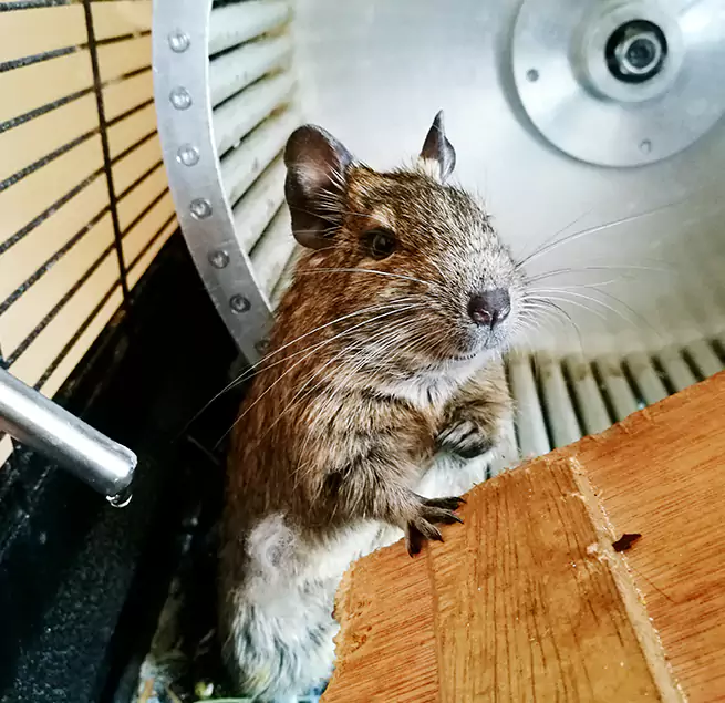 Why Homeowners & Businesses Trust Us Lincoln Park, MI