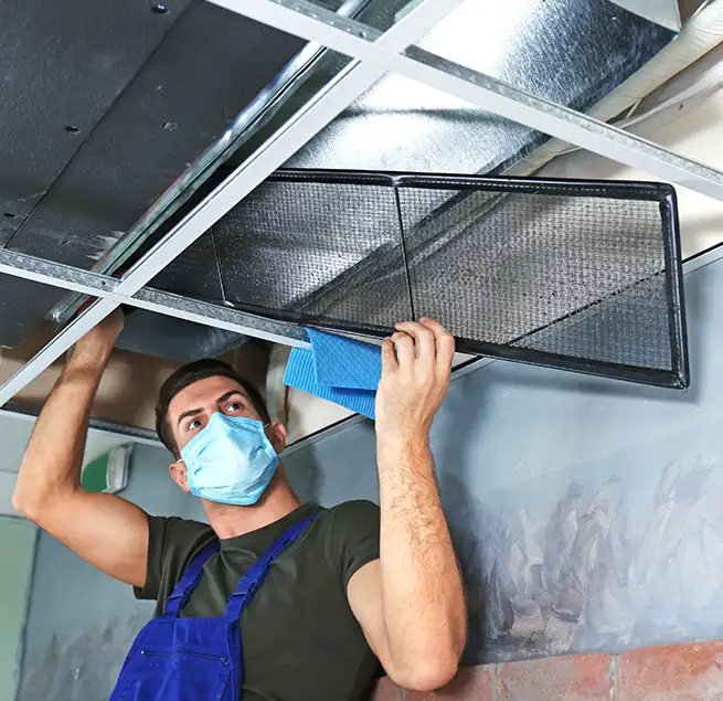 Why Homeowners & Businesses Trust Us in Lincoln Park, MI?